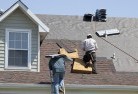 Trundleskylights-2.jpg; ?>